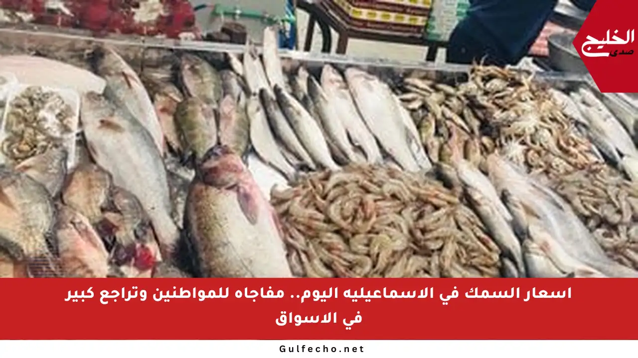 أسعار السمك في الإسماعيلية اليوم.. مفاجأة للمواطنين وتراجع كبير في الأسواق